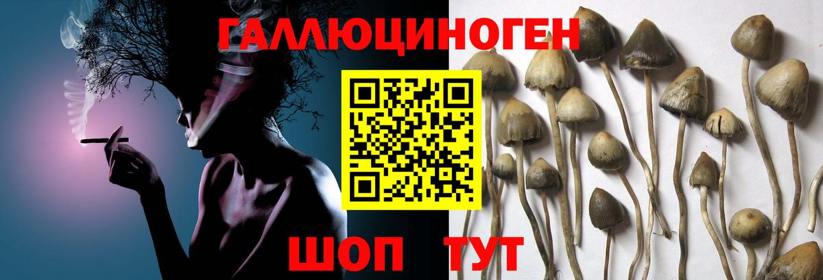 Галлюциногенные грибы Psilocybine cubensis  Вход с VPN  Мегион 